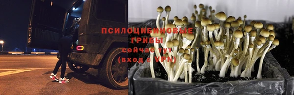 скорость Абинск